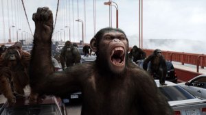 An image from Rise of the Planet of the Apes