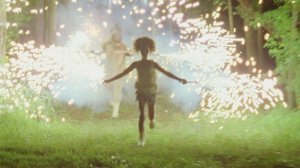 An image from Beasts of the Southern Wild