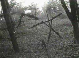 An image from The Blair Witch Project