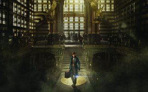 An image from Fantastic Beasts and Where to Find Them