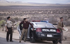 An image from Nocturnal Animals