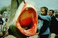 Jaws pic